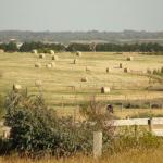 Sulla strada verso Philip Island